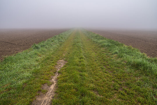 polna ścieżka we mgle