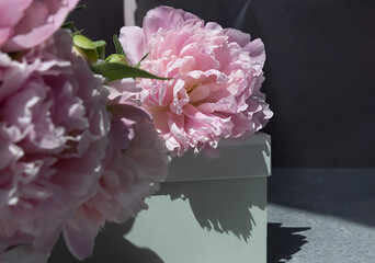 pink peony flower on a gift box. Floral background with delicate light flower