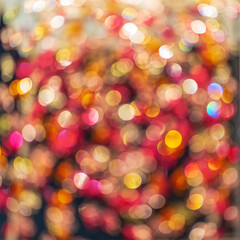 Obraz na płótnie Canvas Blur colorful abstract light bokeh background is beautiful.