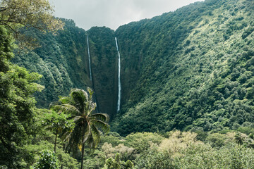 Wasserfälle im Waipio-Tal Big Island Hawaii