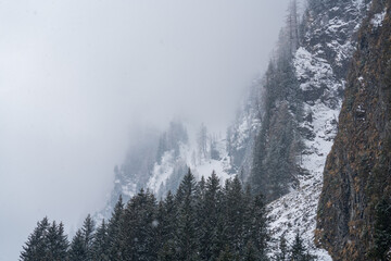 mystical landscape on a foggy spring day with snowfall on the mountains