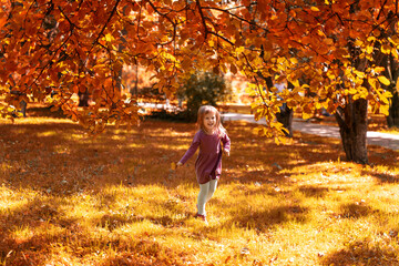 cute caucasian child girl having fun and rejoicing on a sunny autumn day