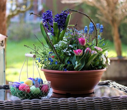 Bunte Fr&uuml;hlingsschale
