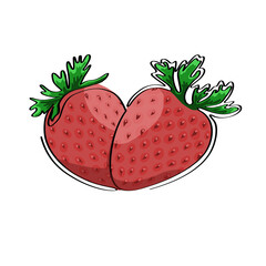 Two strawberries isolated on white background. Vector