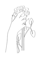 Woman's hand holding a rose. Line art