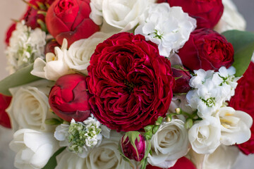 Beautiful bridal bouquet of red roses and white freesia.