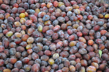 Lots of plums