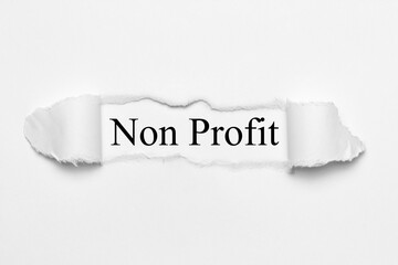 Non Profit 