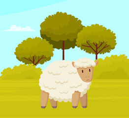 Cute white sheep stands on green meadow. Farm animals. Summer panorama with field and trees