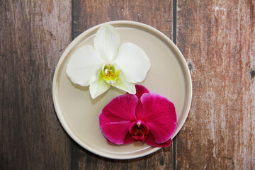 Fototapeta na wymiar orchid flowers with petals on a decorative plate