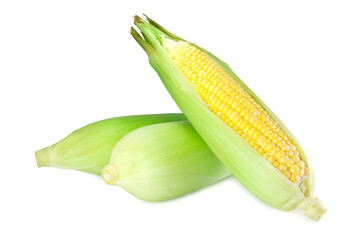 corns isolated on white background.