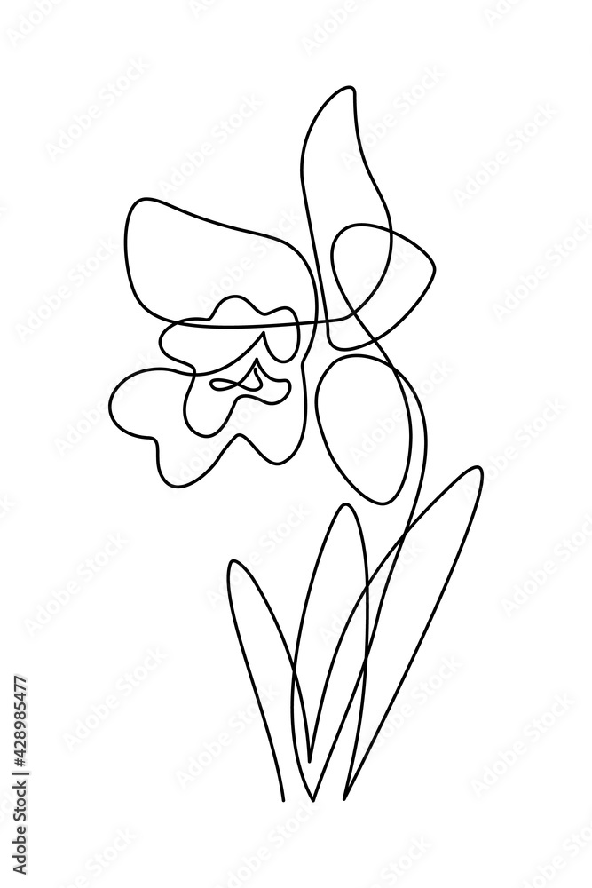 Sticker orchid flower in continuous line art drawing style. beautiful cattleya flowering plant black linear  - Stickers
