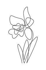 Orchid flower in continuous line art drawing style. Beautiful cattleya flowering plant black linear design isolated on white background. Vector illustration