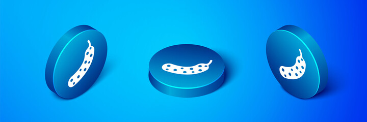Isometric Fresh cucumber icon isolated on blue background. Blue circle button. Vector