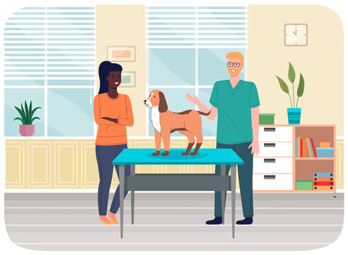 Veterinarian doctor treat ginger dog in hospital office. Man stroking puppy, veterinary care