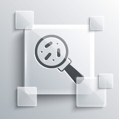 Grey Microorganisms under magnifier icon isolated on grey background. Bacteria and germs, cell cancer, microbe, virus, fungi. Square glass panels. Vector