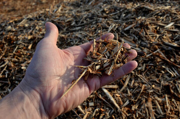 mulch bark from pieces of wood chips to prevent weed growth and weed germination. branch crusher,...