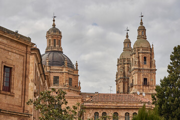 Fototapeta na wymiar Una preciosa tarde en la ciudad de Salamanca, cielo azul, flores y monumentos.