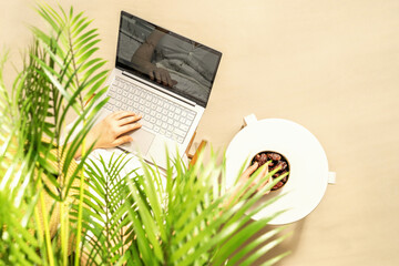 Woman freelancer with laptop sitting under coconut palm tree  branches. Female eating royal dates fruit from a bowl. Summer sand beach. Vacation. Top view