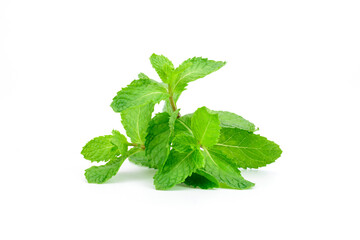 Fresh green mint leaves And fragrant Can be food Mix drink And is an herb Put on a white background
