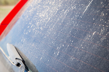 rear windshield with wipers dirty car in a layer of dry dirt and dust, close-up on the theme of the...