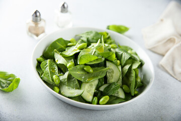 Healthy green salad with fresh cucumber