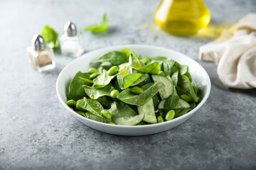 Healthy green salad with fresh cucumber