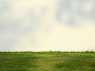shadow leaf on exterior white wall with green grass on the lawn