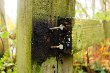 broken wooden hand rail with rusted nails with a natural green background