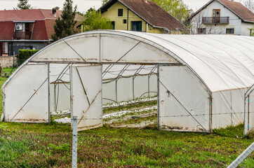 Naklejka premium Private greenhouse in the suburbs of Petrovaradin, Novi Sad, Serbia. 