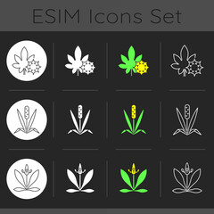 Fototapeta na wymiar Intolerance for allergen dark theme icons set. Castor bean. Timothy grass. Flower pollen. Common reason for allergy. Linear white, solid glyph and RGB color styles. Isolated vector illustrations