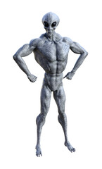 Illustration of a muscled gray alien standing in a defensive pose