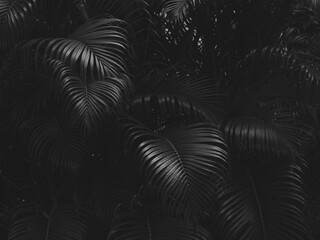 black palm leaf background, bush for decorative