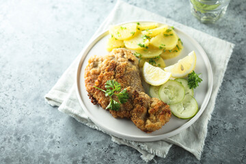 Traditional Austrian schnitzel with potato salad