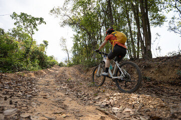 Woman cyclist cycling on mountain top forest trail