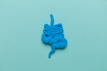 Treating inflammatory bowel disease. Digestive organ model on blue background.