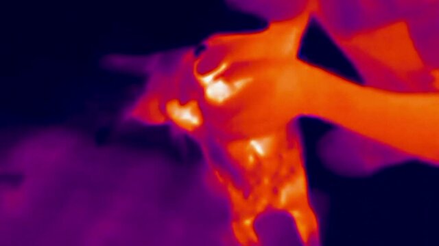 Thermal imaging view of dog openning jaws on the floor. Infrared, thermal, night vision imaging