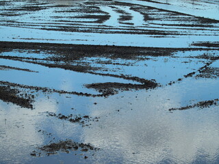 青空を映す代田風景