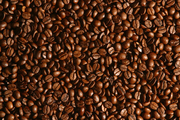 Fototapeta premium coffee beans texture