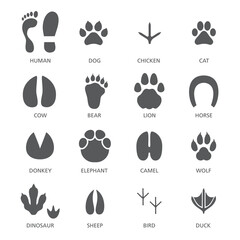 Vector set of footprint of different animals and human