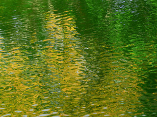 abstract water wave with reflection of tree texture