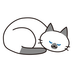 丸くなって幸せそうに眠るシャム猫