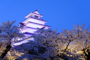 Obraz premium ライトアップされた鶴ヶ城城と溢れんばかりの満開の夜桜 会津若松の風景 