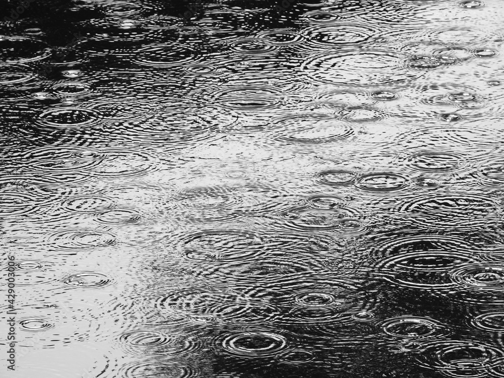 Sticker water drops of rain falling on water with ripple, black and white style