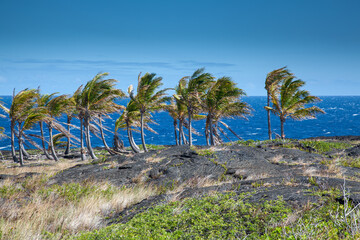Duża Wyspa, Hawaje - obrazy, fototapety, plakaty