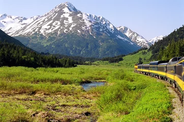 Deurstickers Denali Alaska- A Train Through The Beautiful Mountains