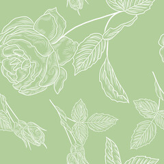 Seamless background with roses, herbs, hand drawn pattern