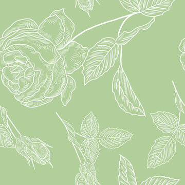 Seamless background with roses, herbs, hand drawn pattern © lshvsk