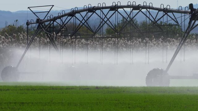 Irrigation Center pivot with drop sprinklers in Israel