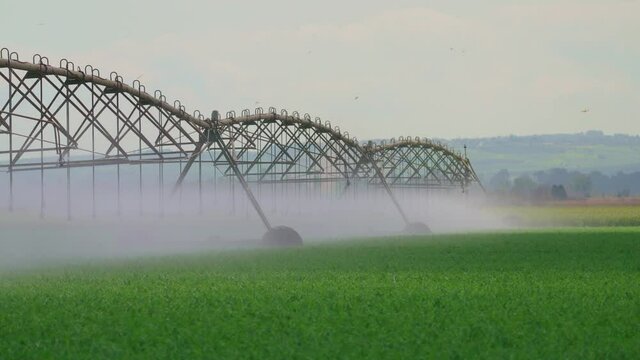 Irrigation Center pivot with drop sprinklers in Israel